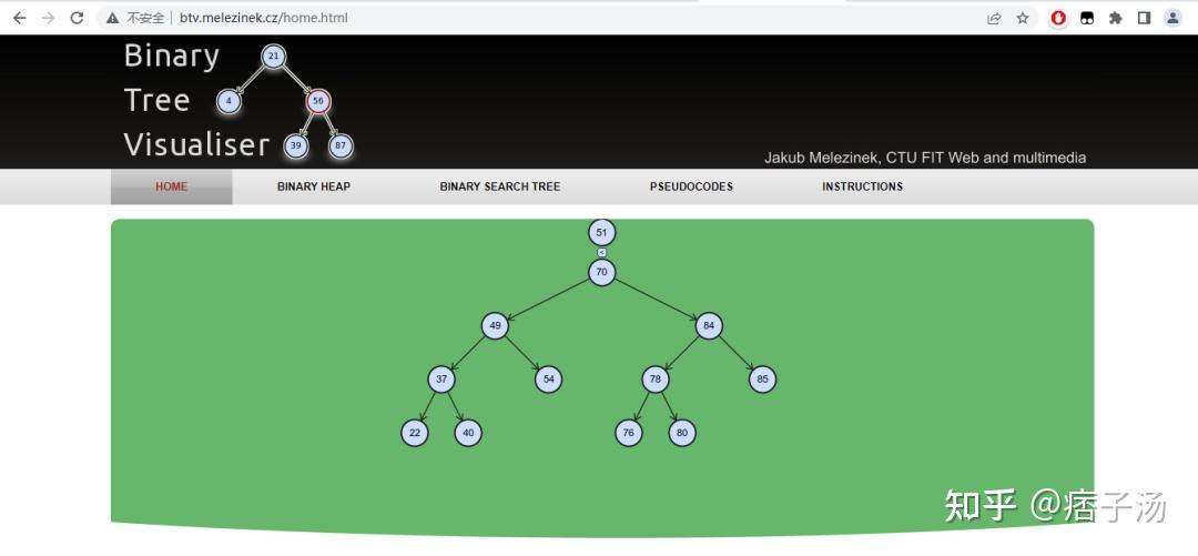 BinaryTreeVisualiser