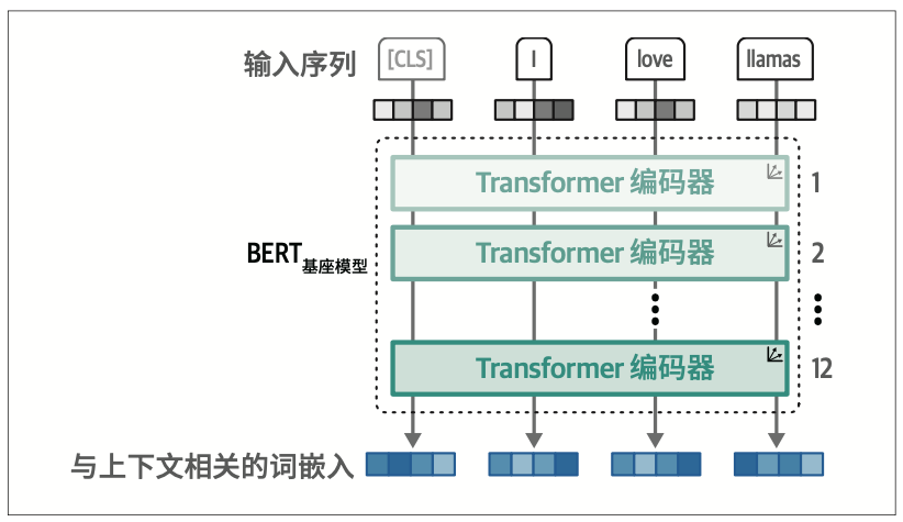 图1-21：BERT基座模型的架构，包含12个编码器